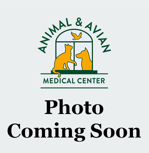 Coming-Soon-2 Photo Coming Soon