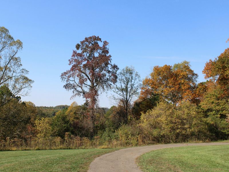 Scenic Walking Path in Ohio